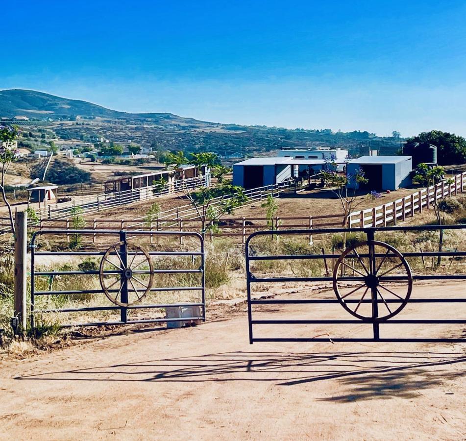 Rustic Farm Stay Τεμέκουλα
 Εξωτερικό φωτογραφία